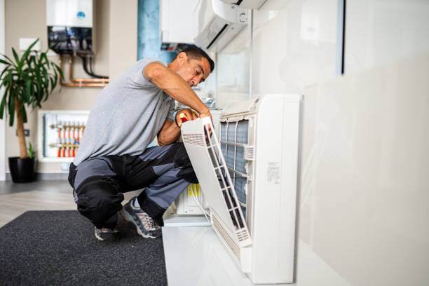 Air Duct Mold Removal in West Easton, PA